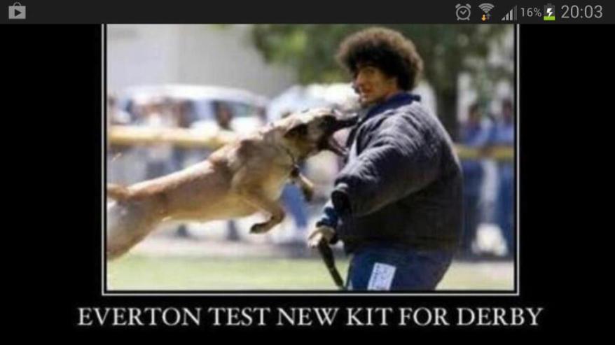 Brilliant Banter from the Blue Half